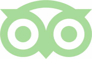 tripadvisor-moss-green